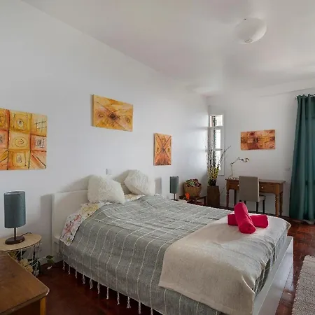 Mit Balkon Und Aussicht In So Martinho شقة فونشال